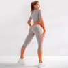 Seamless Sports Shirts Crop Top Leggings Sport Set Fitness Tracksuit Workout Set Yoga Suit for Women